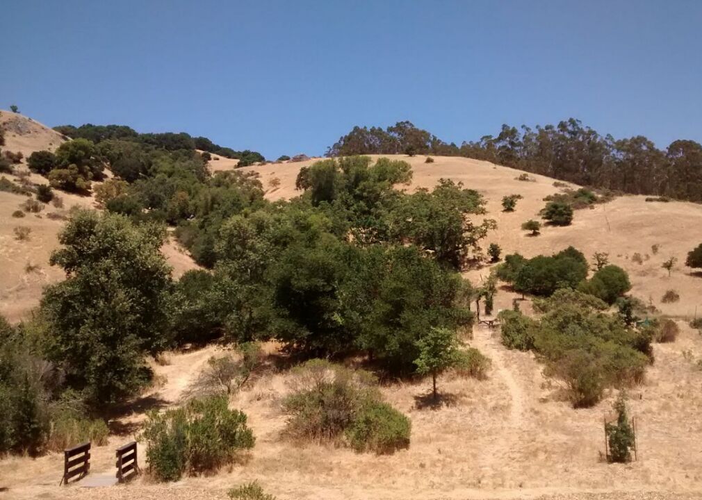 #47. San Anselmo, California